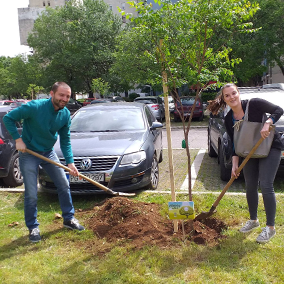 GoPlant team planting trees volunteer action